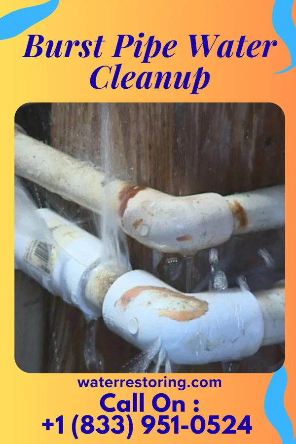 Burst Pipe Water Cleanup in Dublin, PA
