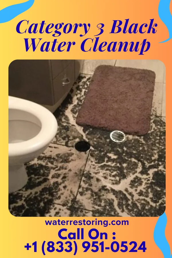 Category 3 Black Water Cleanup in Dublin, PA