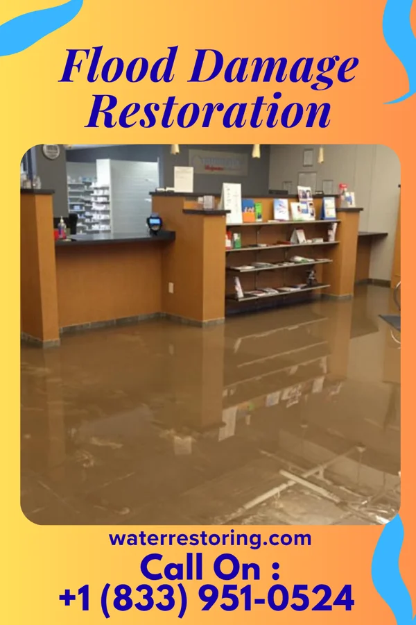 Flood Damage Restoration in Dublin, PA