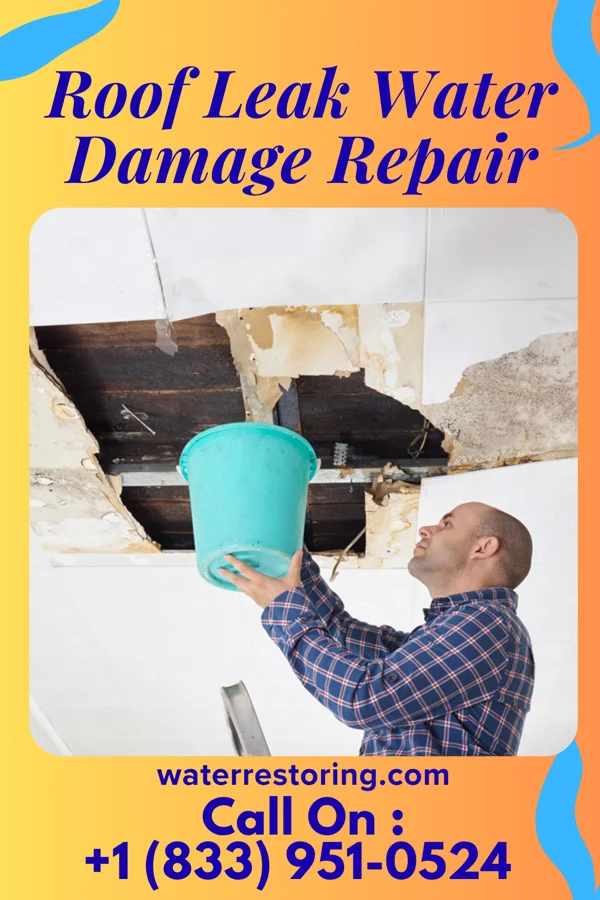 Roof Leak Water Damage Repair in Dublin, PA