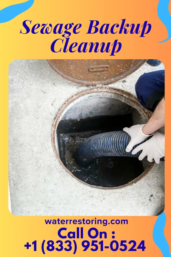 Sewage Backup Cleanup in Dublin, PA