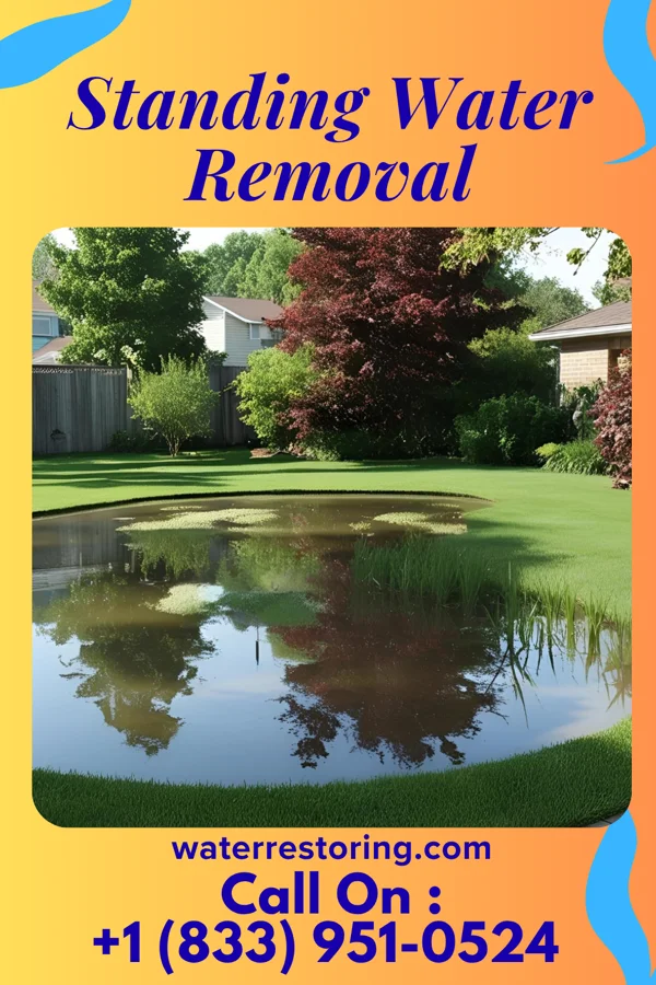 Standing Water Removal in Dublin, PA